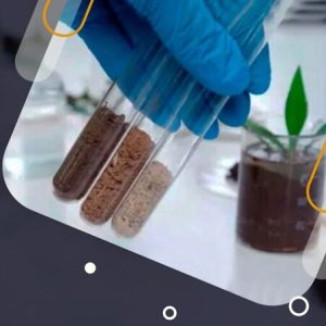 Laboratorio de Suelos